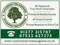 Wychwood Tree Surgeons 1112603 Image 1