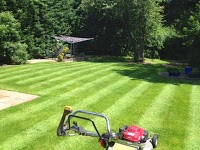 Wylde Green Garden Services (Lawn Mowing Service) 1108370 Image 0