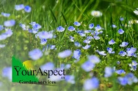 YourAspect Garden services 1121557 Image 0