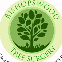 bishopswood tree surgeons 1129773 Image 4