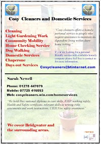 cosy cleaners and domestic services 1120521 Image 0