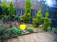 john aitken garden maintenance and tree services 1114067 Image 3
