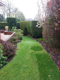 tree and landscaping services north east 1128571 Image 0