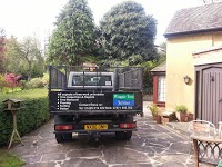tree and landscaping services north east 1128571 Image 4