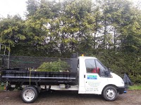 tree and landscaping services north east 1128571 Image 8